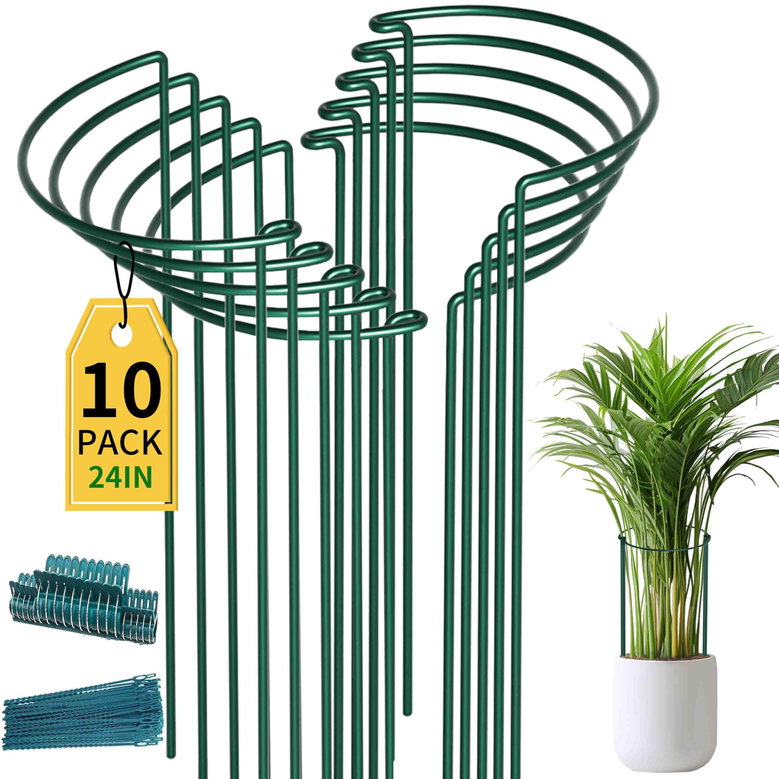 TCBWFY plant support stake 10x24 cage shows sturdy construction for heavy blooms
