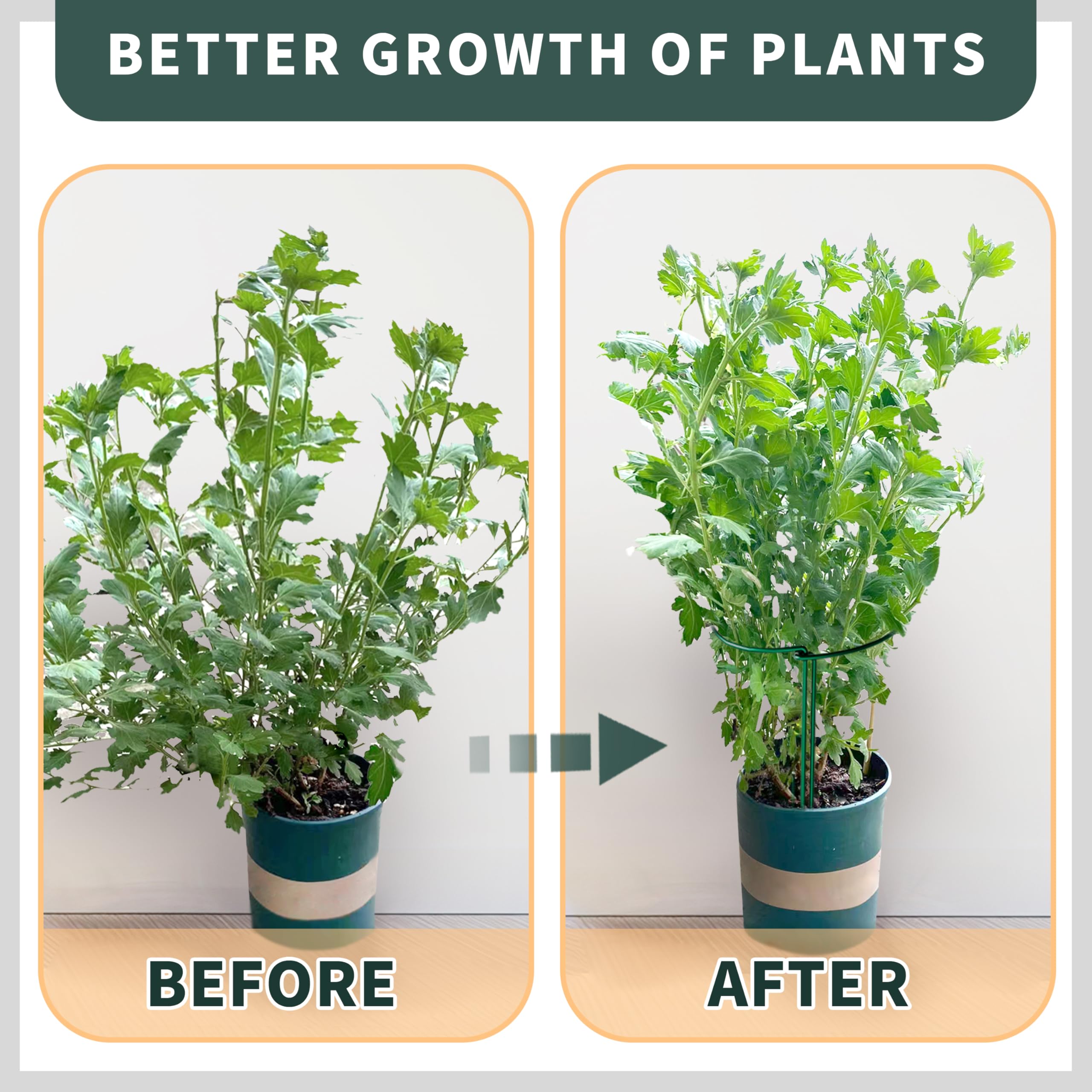 TCBWFY plant support stakes border-use frame keeps paths clear