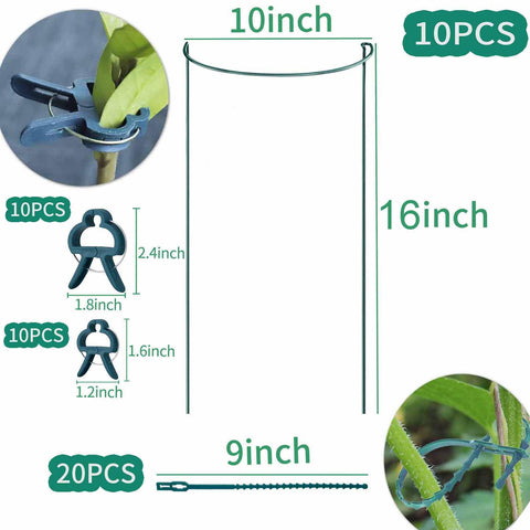 TCBWFY plant support stakes for peony stabilize heavy blooms