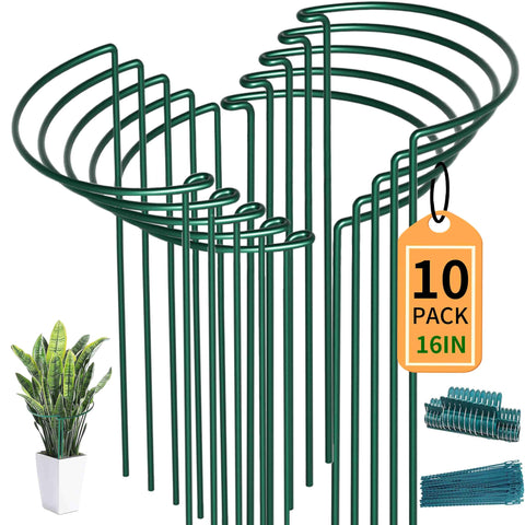 TCBWFY plant support stakes for roses keep canes upright in the garden