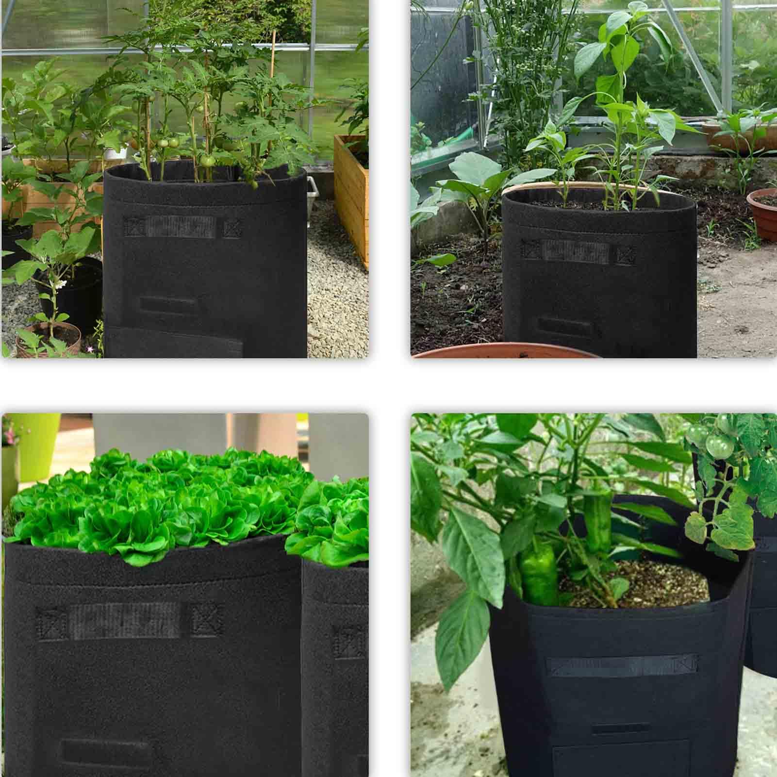 TCBWFY durable seams on a grow bag for long-lasting garden use