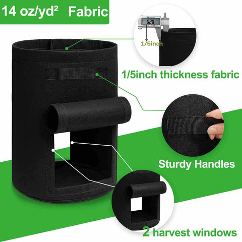 TCBWFY harvest-ready grow bag demonstrated through accessible windows
