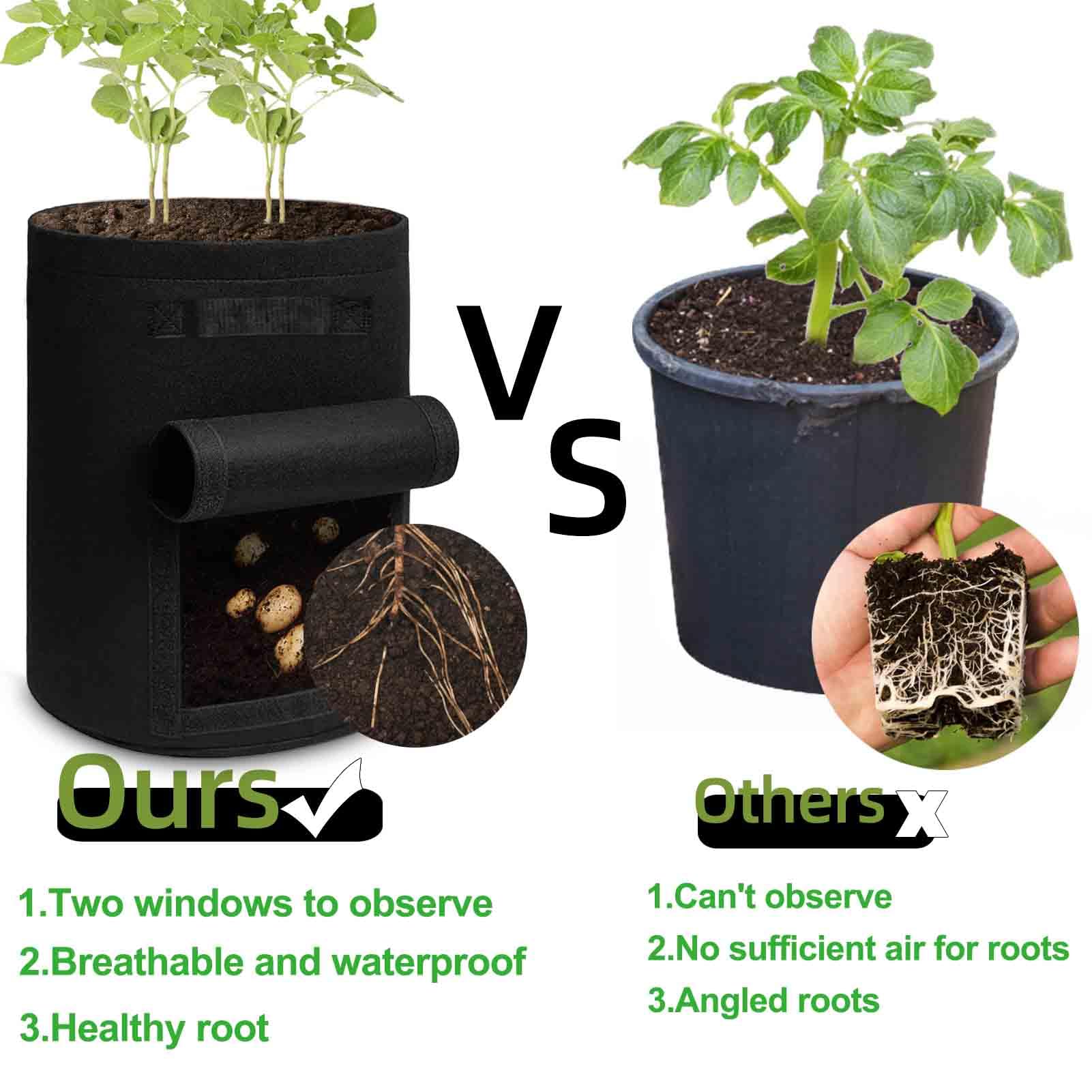 TCBWFY grow bag featuring two sturdy handles for easy relocation
