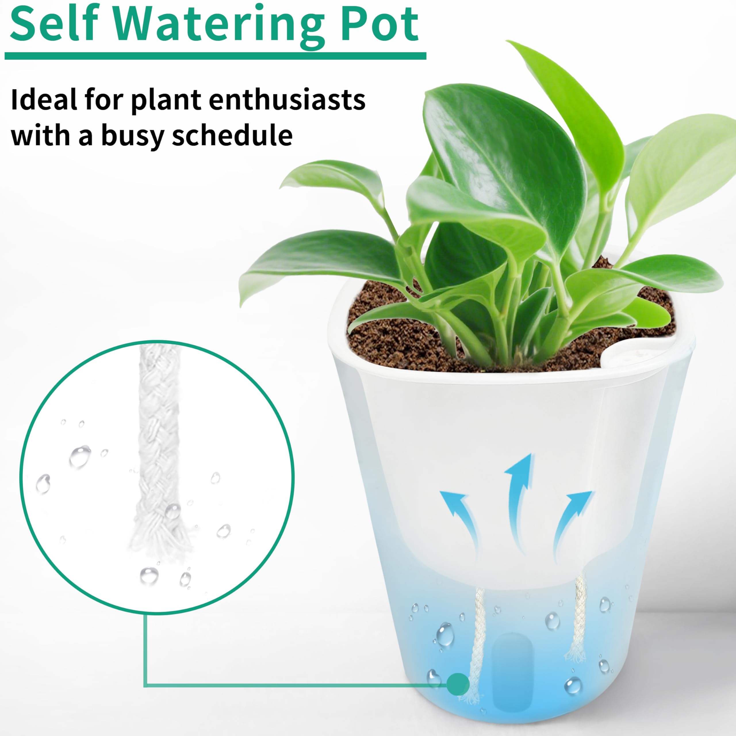TCBWFY rope-watering system delivers moisture automatically as needed