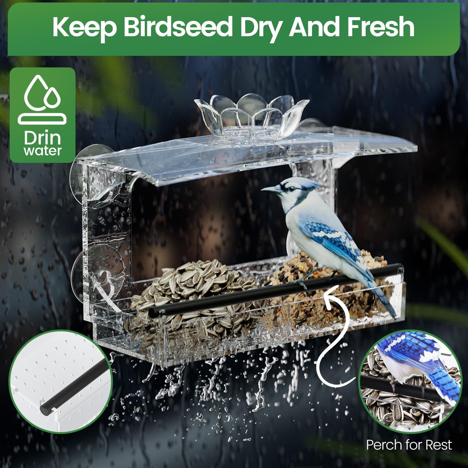Tc-DcDM large-capacity seed tray supports several birds at once.