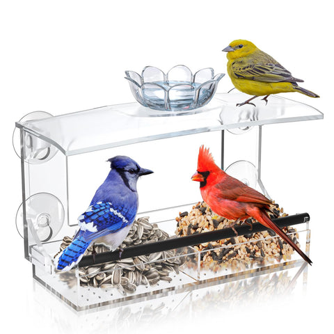 Tc-DcDM clear window feeder with strong suction cups for stable bird viewing.