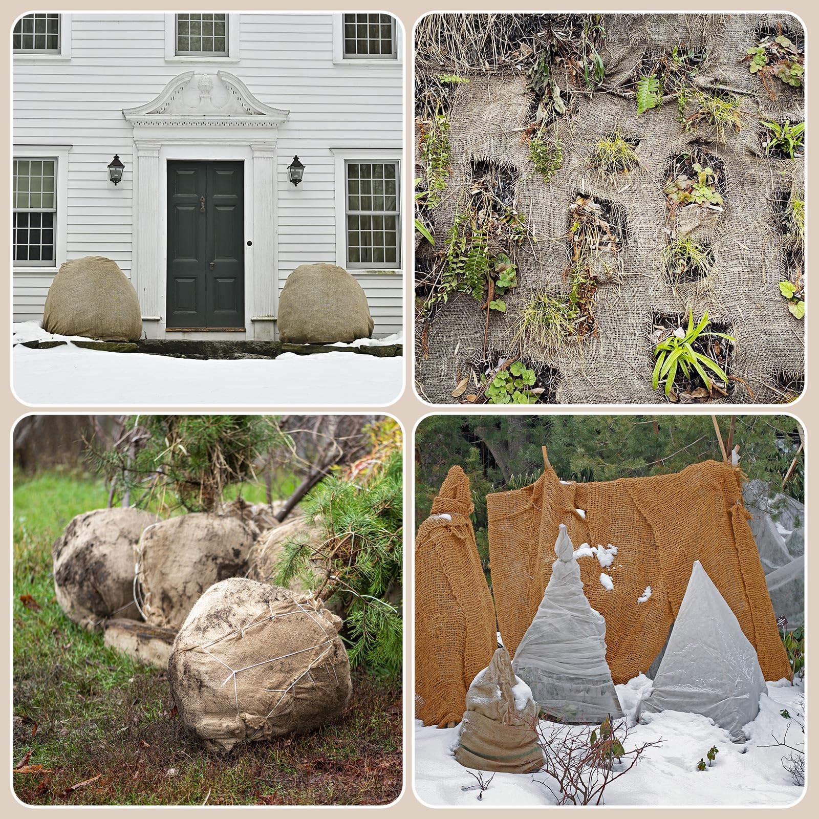 Tcevily craft-decor burlap roll adds rustic charm to projects.