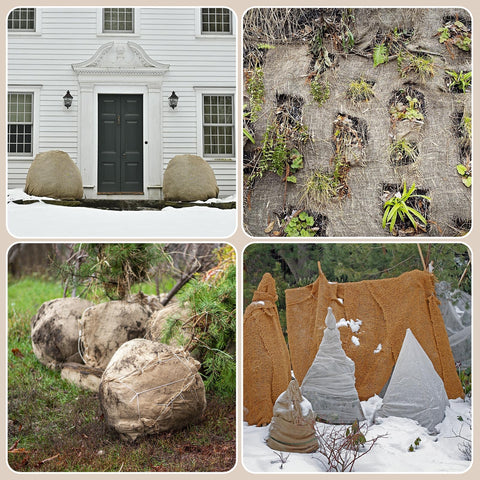 Tcevily craft-decor burlap roll adds rustic charm to projects.