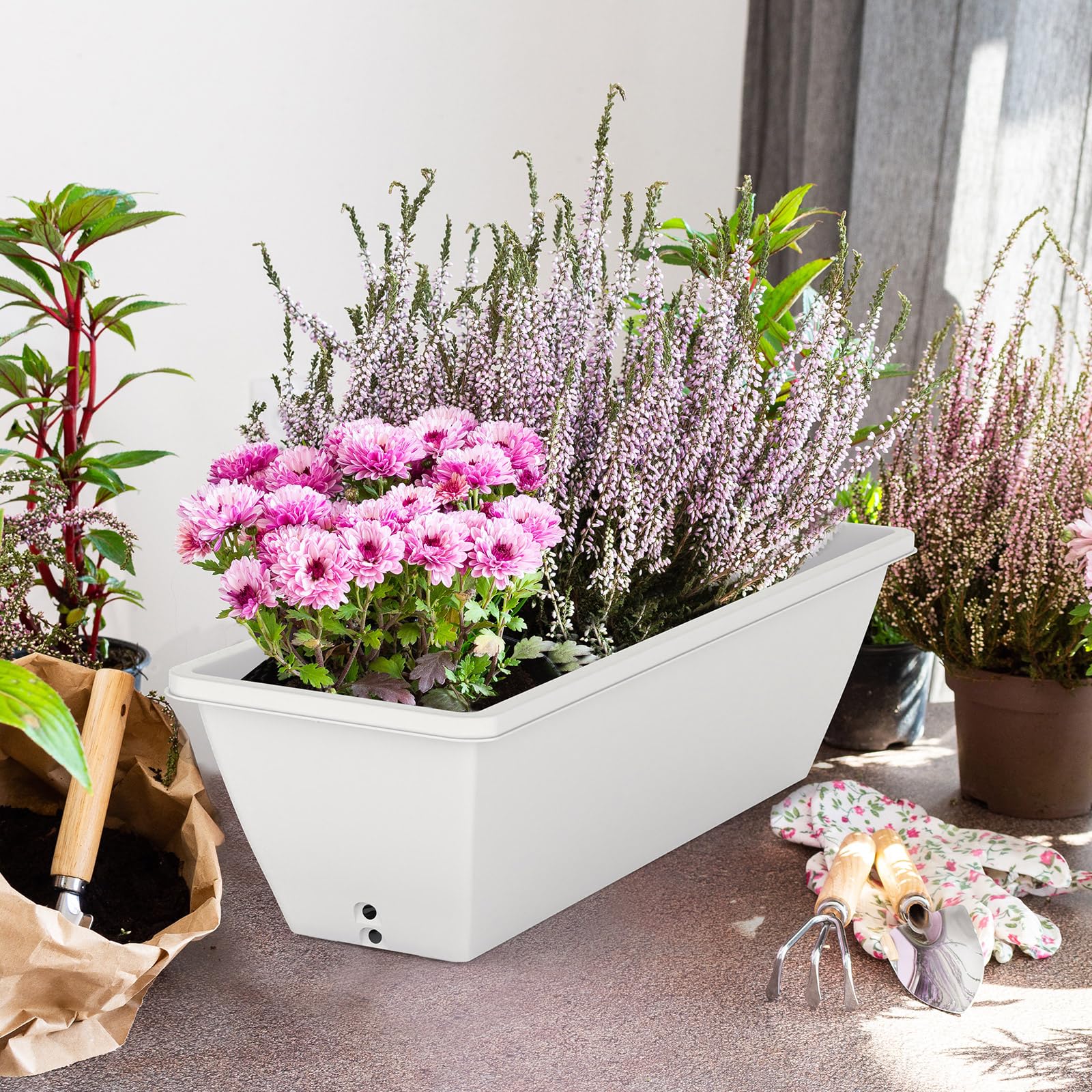Tcevily succulent and flower planters in a neat white display.