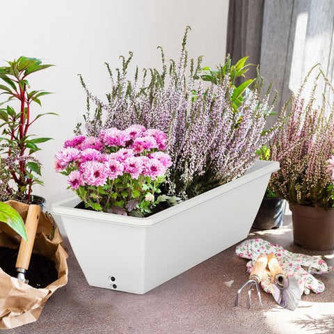 Tcevily succulent and flower planters in a neat white display.