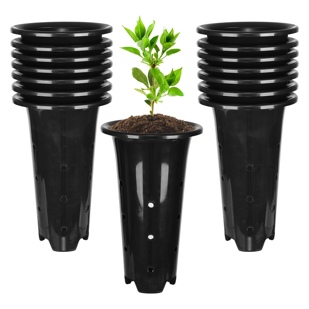tchrules deep plant pot with 8.66-inch height supports robust seedling growth