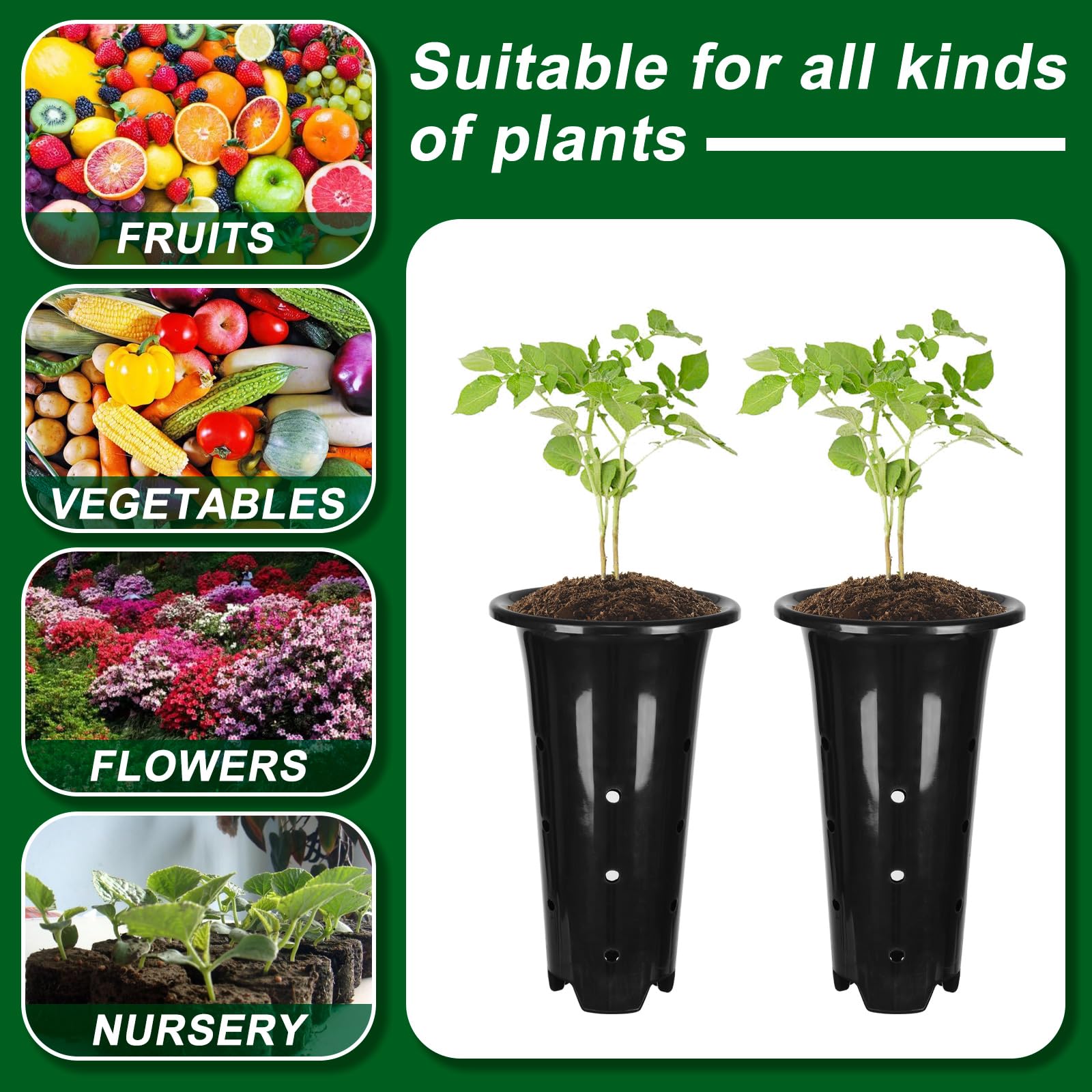 tchrules deep plant pot ideal for transplant readiness