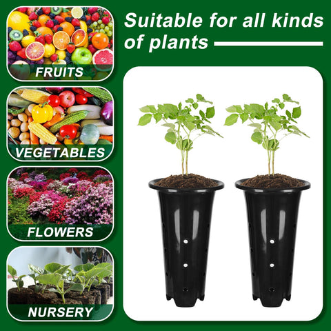 tchrules deep plant pot ideal for transplant readiness