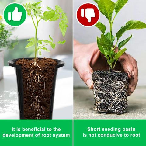 tchrules reusable seedling cups reduce waste and stay odor-free