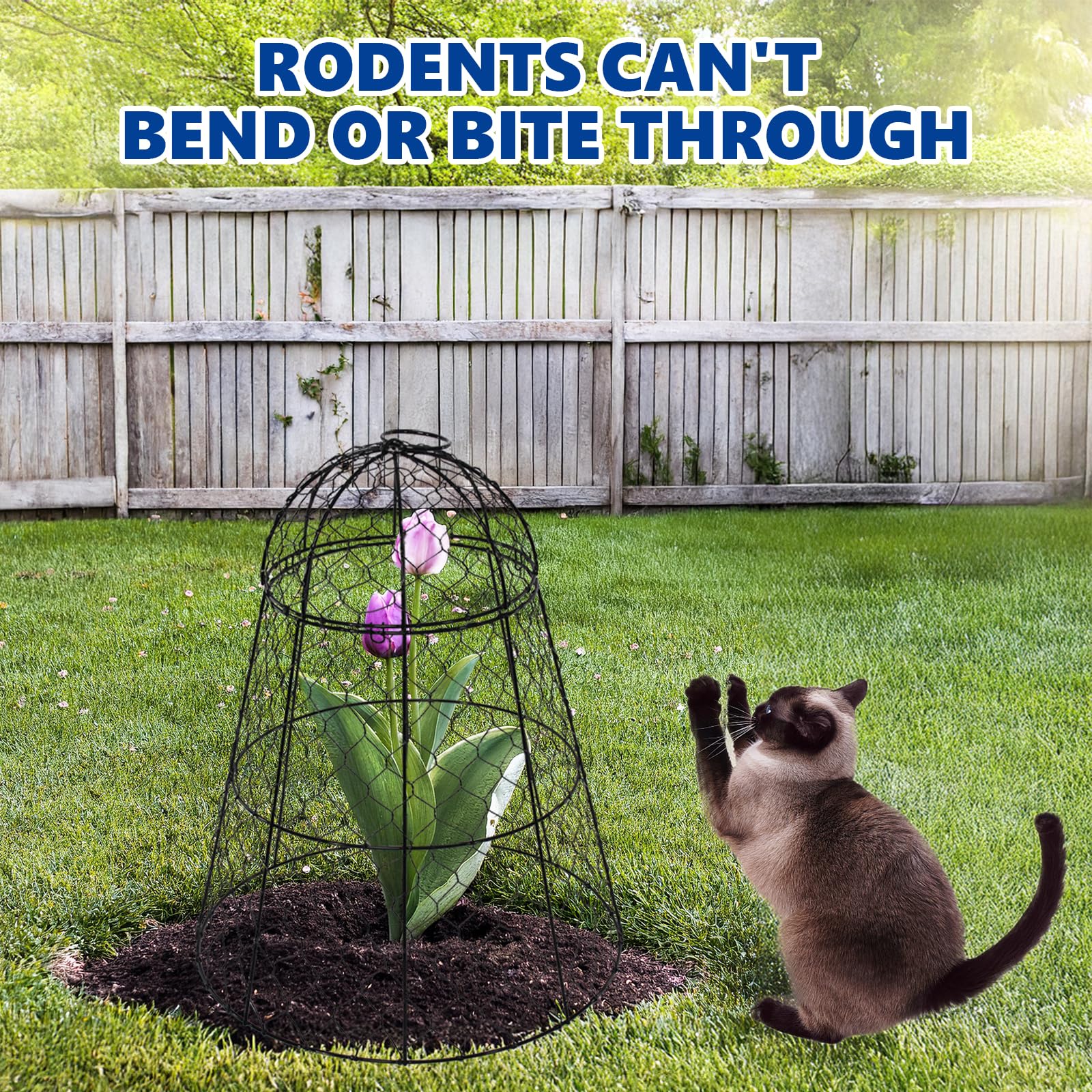 Tcomhk Chicken-Wire Cloche Durable Year-Round Use, rust-resistant metal for long-term gardening.