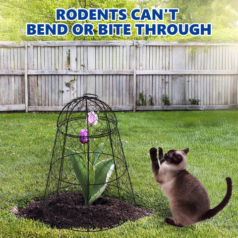 Tcomhk Chicken-Wire Cloche Durable Year-Round Use, rust-resistant metal for long-term gardening.
