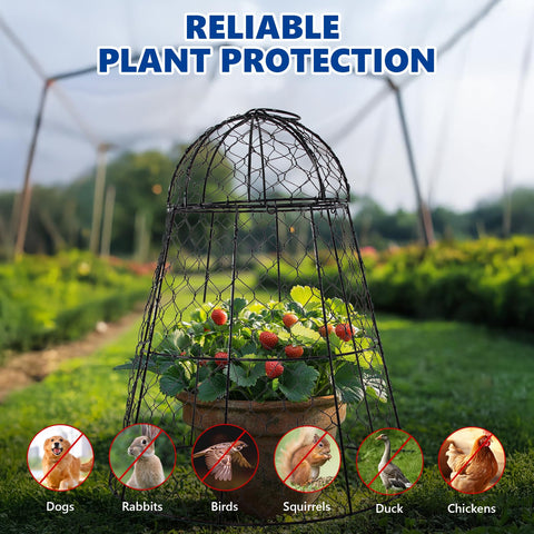 Tcomhk Garden Cloche Outdoor Setup, spacious design fits seedlings and small shrubs outdoors.