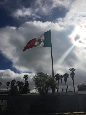 TCTOHZNG Mexico flag suitable for indoor or outdoor display