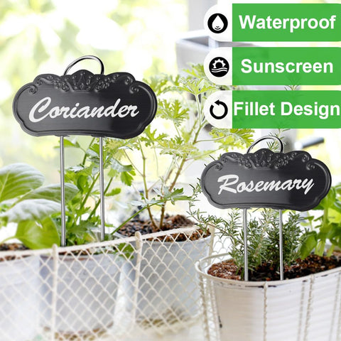 TCYPUHL label tilted for easy reading of plant names.