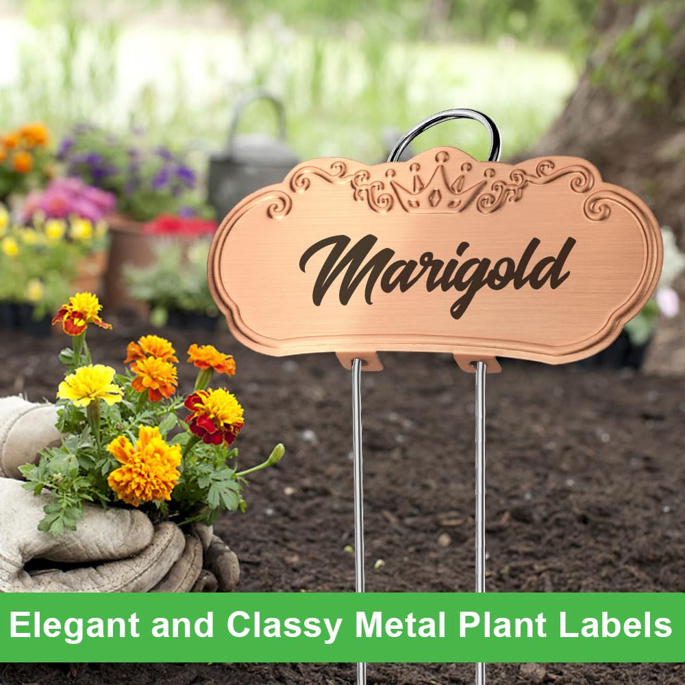 TCYPUHL stainless steel garden labels resist rust for outdoor use