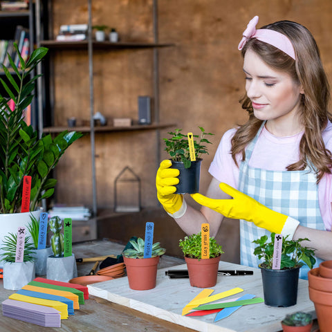 Garden tags in use, color-coded for easy plant identification by TDHDIKE.