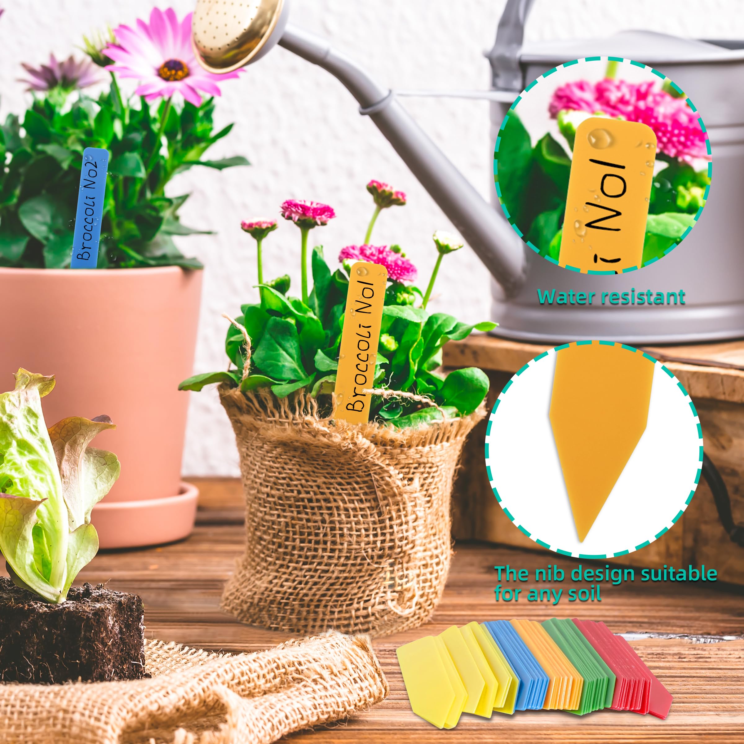 Waterproof plastic tags withstand rain and sun for outdoor gardens by TDHDIKE.