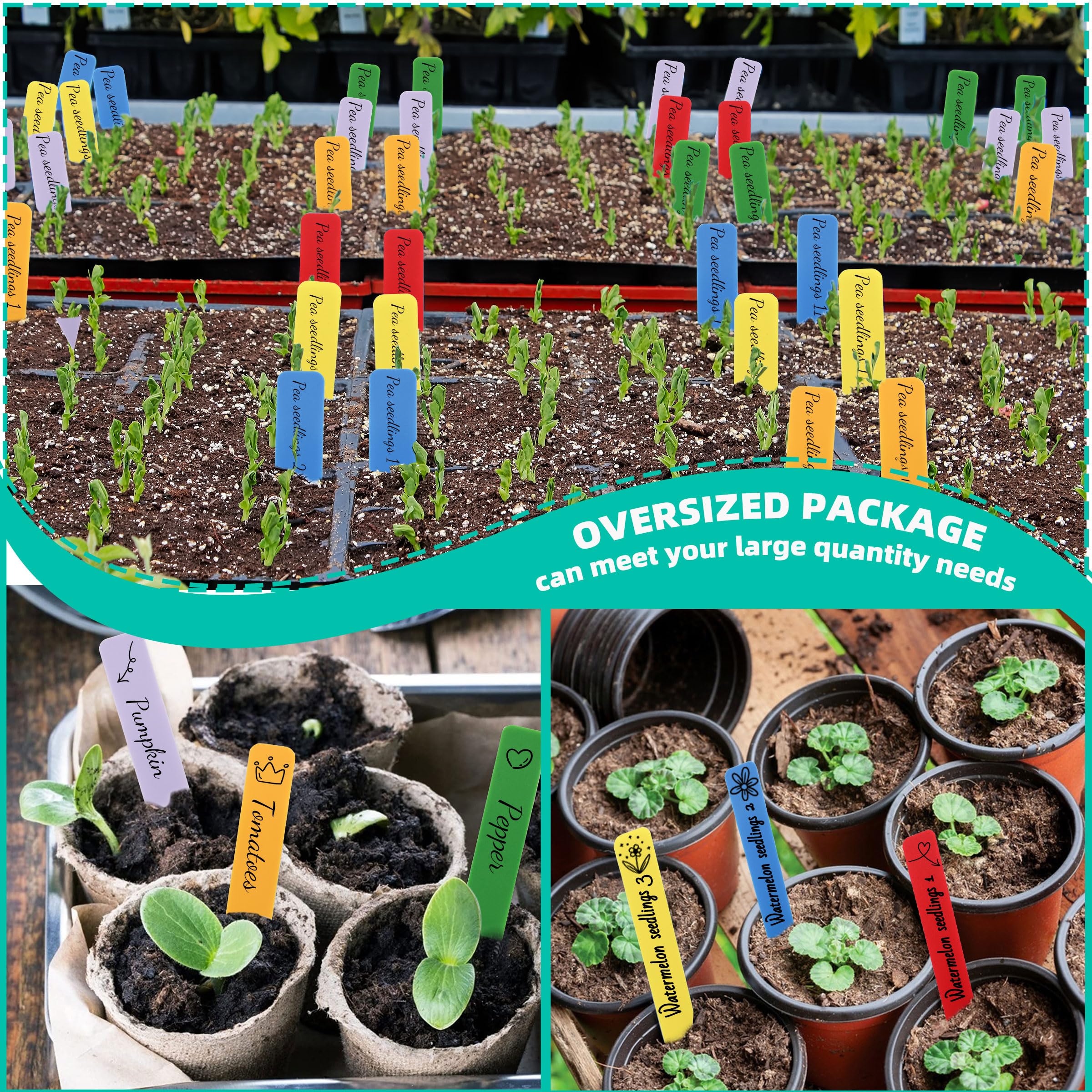 Writing on both sides of TDHDIKE plant labels for versatile notes.