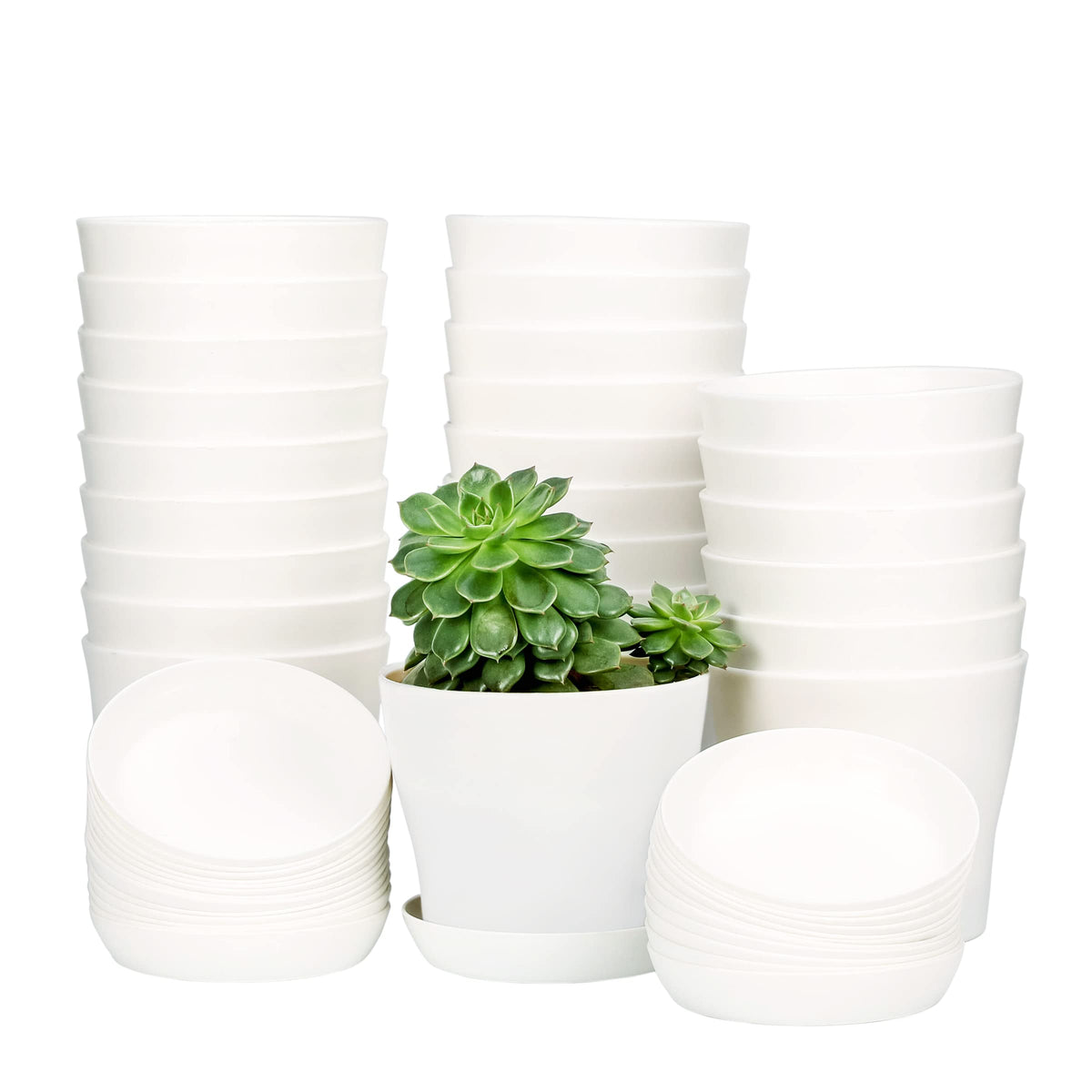 TDHDIKE 10pcs plastic planters with pallet offer compact indoor display space