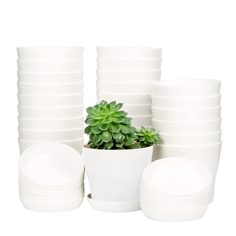 TDHDIKE 10pcs plastic planters with pallet offer compact indoor display space