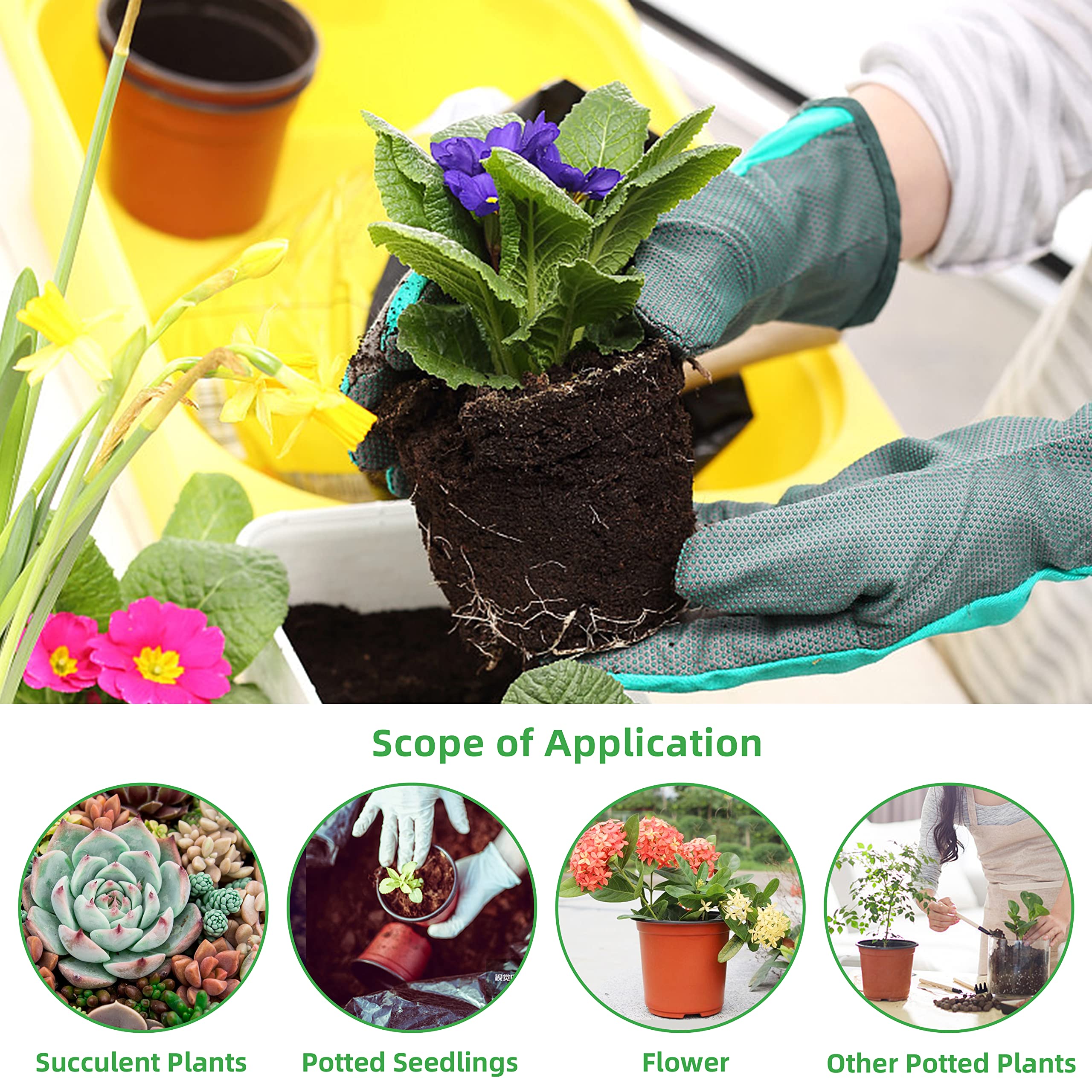 TDHDIKE 200 labels included for seedling identification.