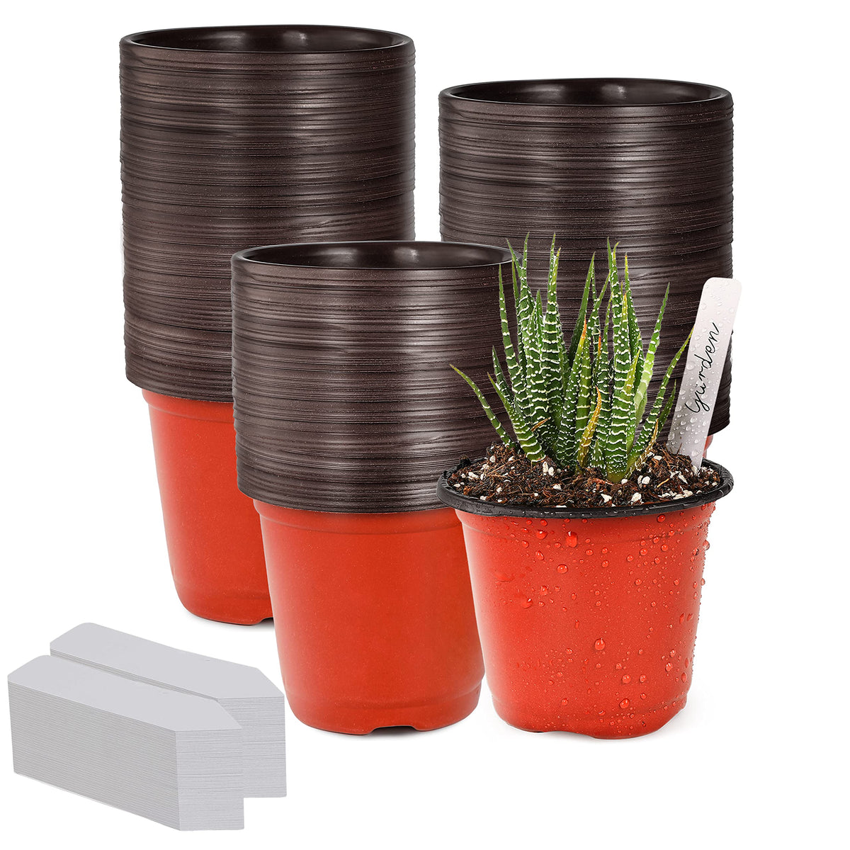 TDHDIKE 4-inch seed starter pot with wide top opening for easy germination.