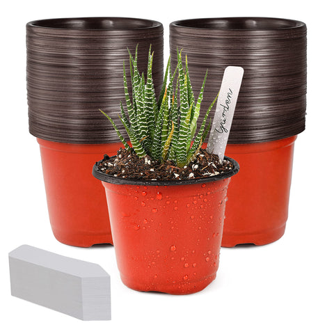 TDHDIKE 4-inch seedling pot set with 100 pieces for easy starting.