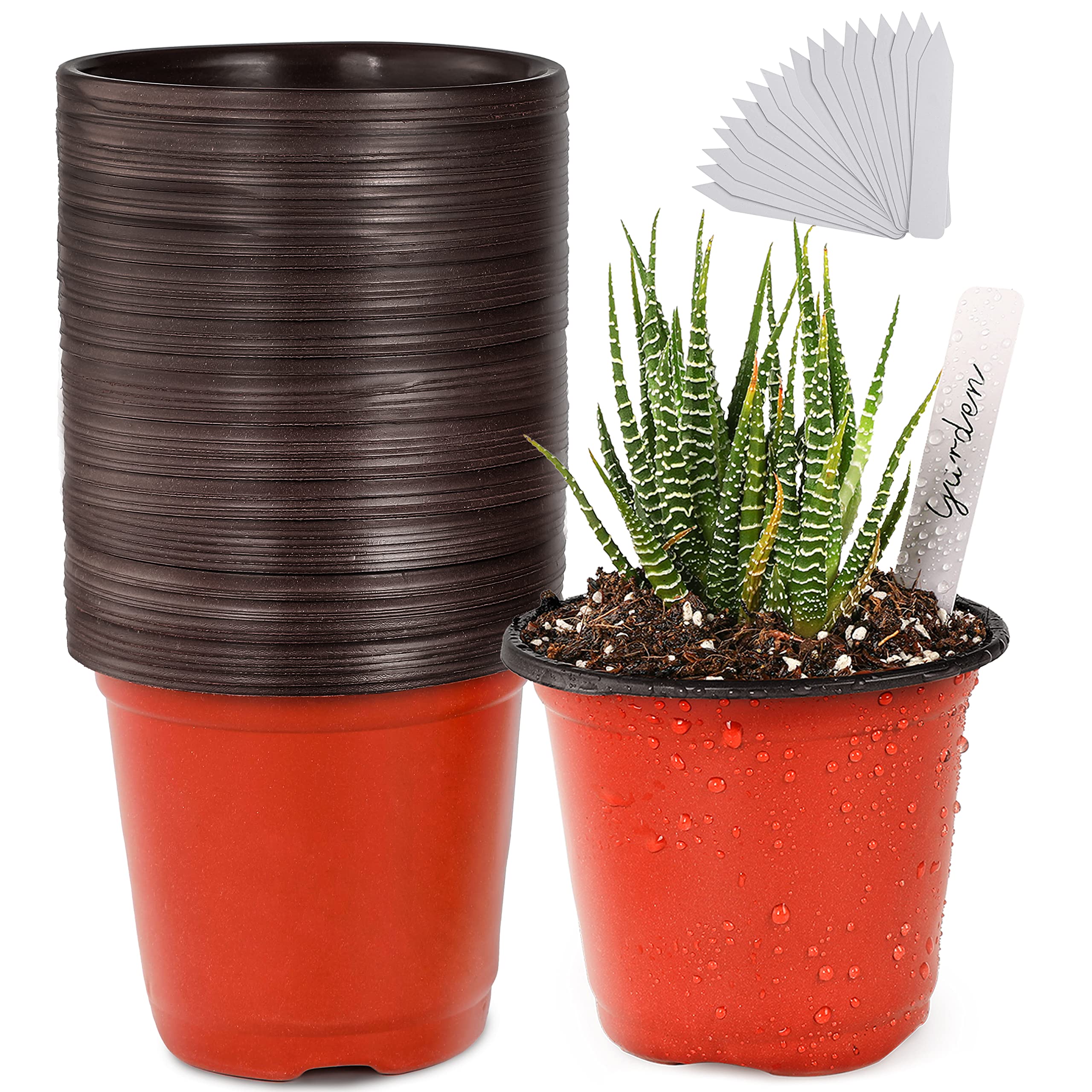 TDHDIKE 4-inch seedling pot open-top for easy transplanting.