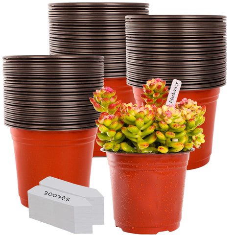 TDHDIKE 6-inch plastic pot top view for seedling starts and organization.