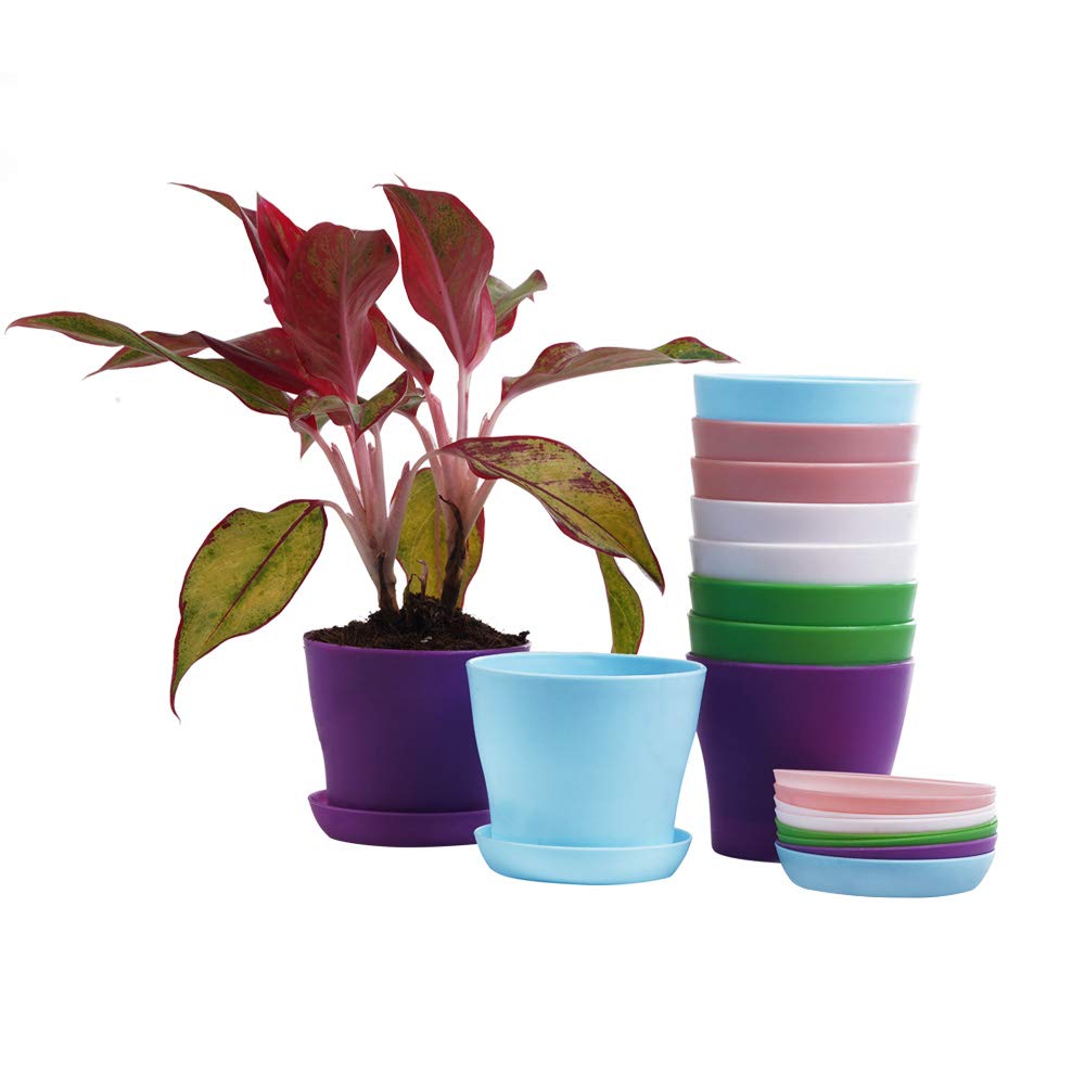 TDHDIKE compact planters with matching trays for desks and shelves