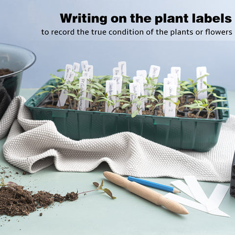 TDHDIKE versatile garden labels suitable for greenhouse and outdoor beds.