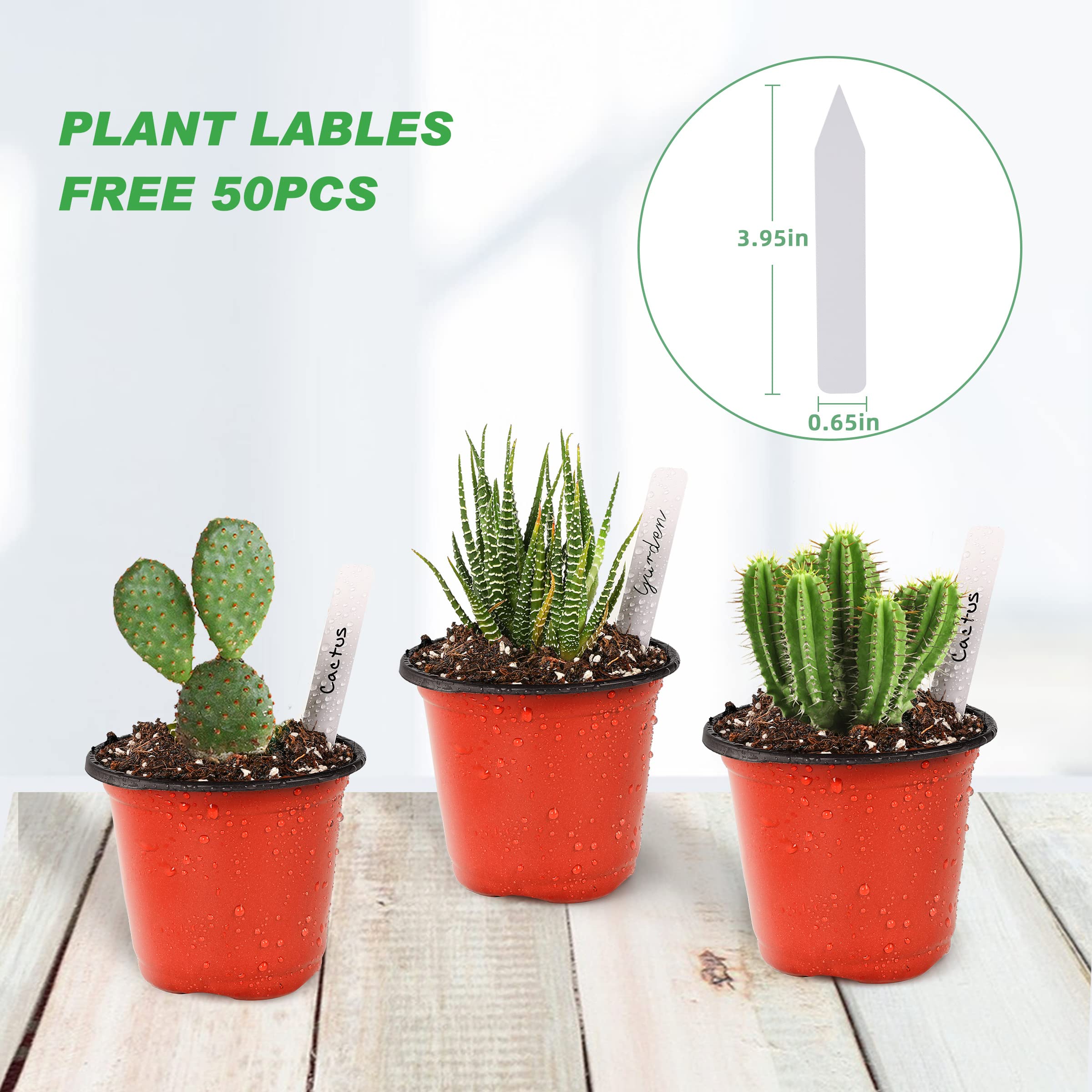 TDHDIKE mini nursery pots for indoor and outdoor use.