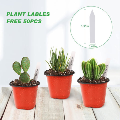 TDHDIKE mini nursery pots for indoor and outdoor use.