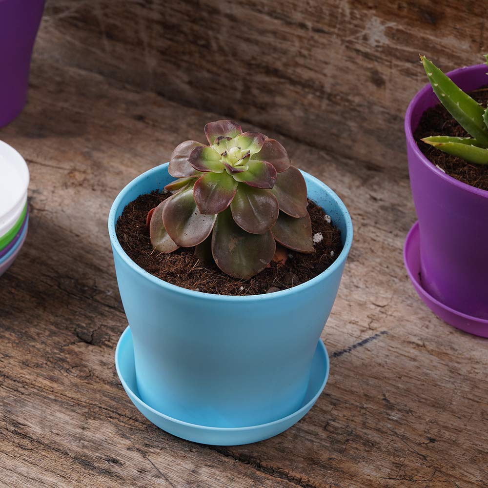 TDHDIKE versatile mini planters for seeds and blooms on the go