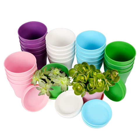 TDHDIKE mini pots in a color pack with tray for easy arrangement.