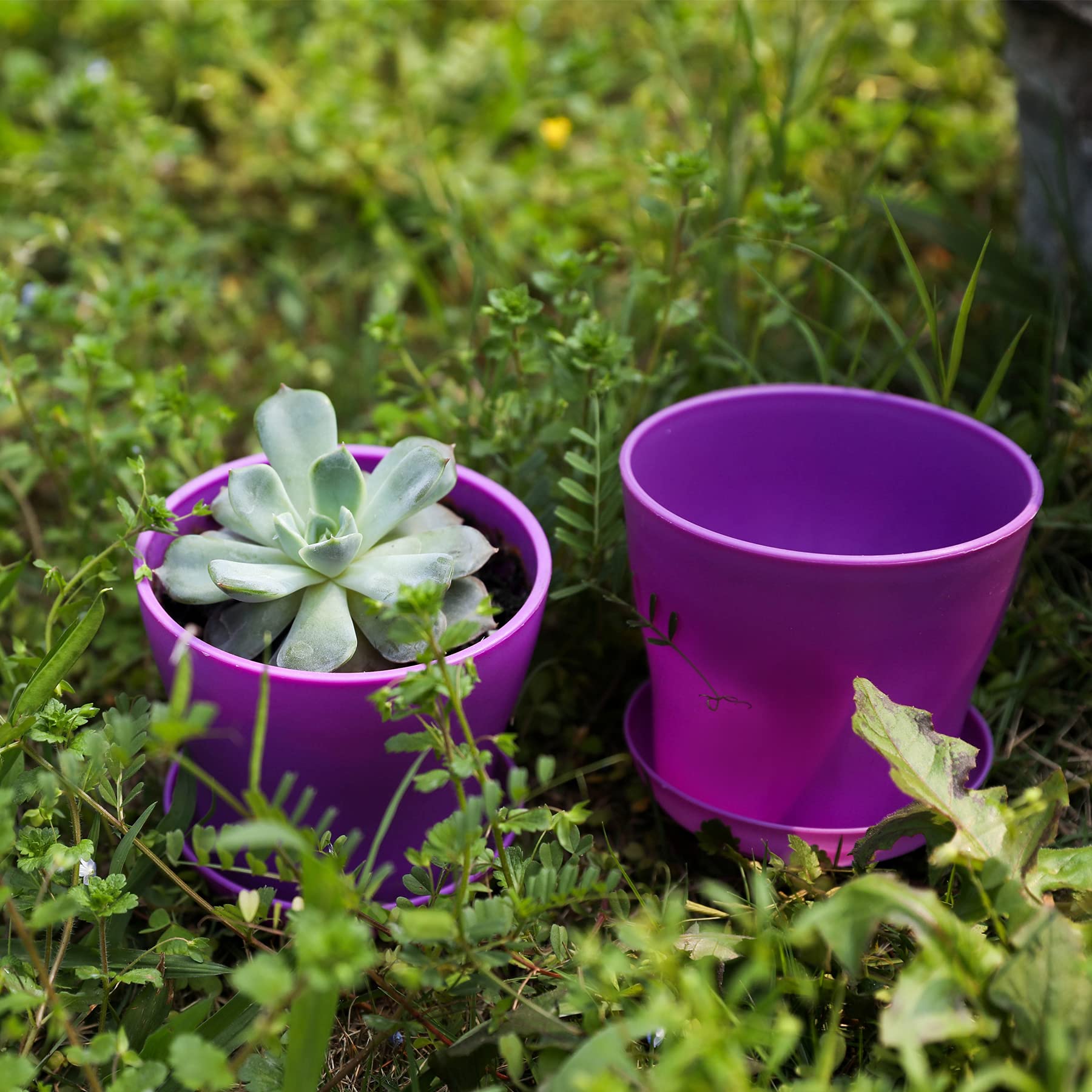 TDHDIKE open-design flowerpots ideal for easy planting.