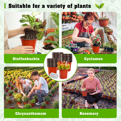 TDHDIKE outdoor garden setup for versatile planting and transplant readiness.