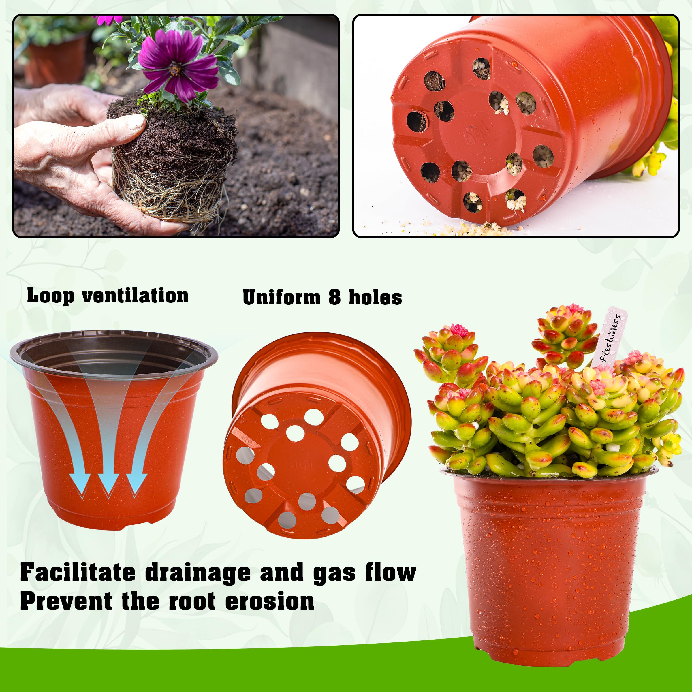 TDHDIKE plant labels pack for seedling tracking and organized trays.