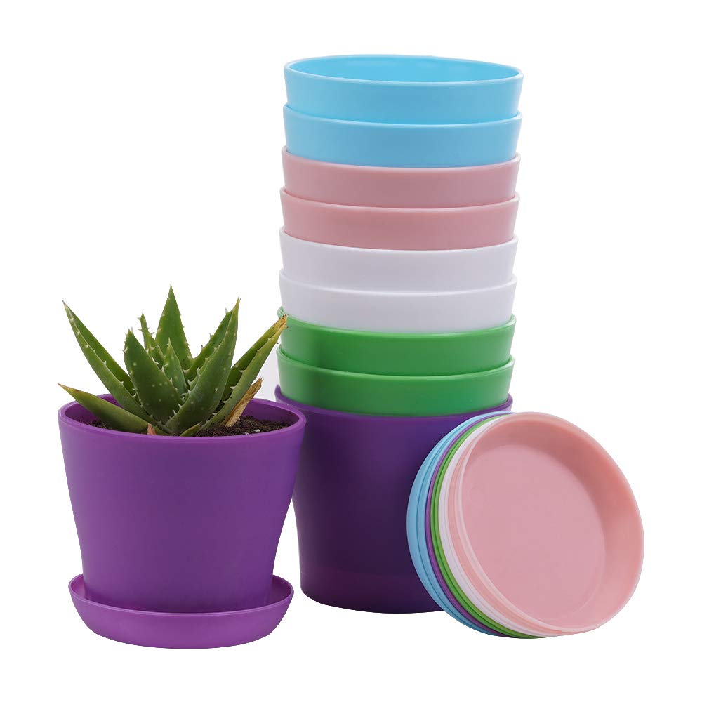 TDHDIKE plastic planters set with pallet for indoor gardening and vibrant decor