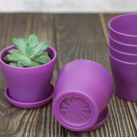 TDHDIKE purple mini pot open design ideal for easy planting