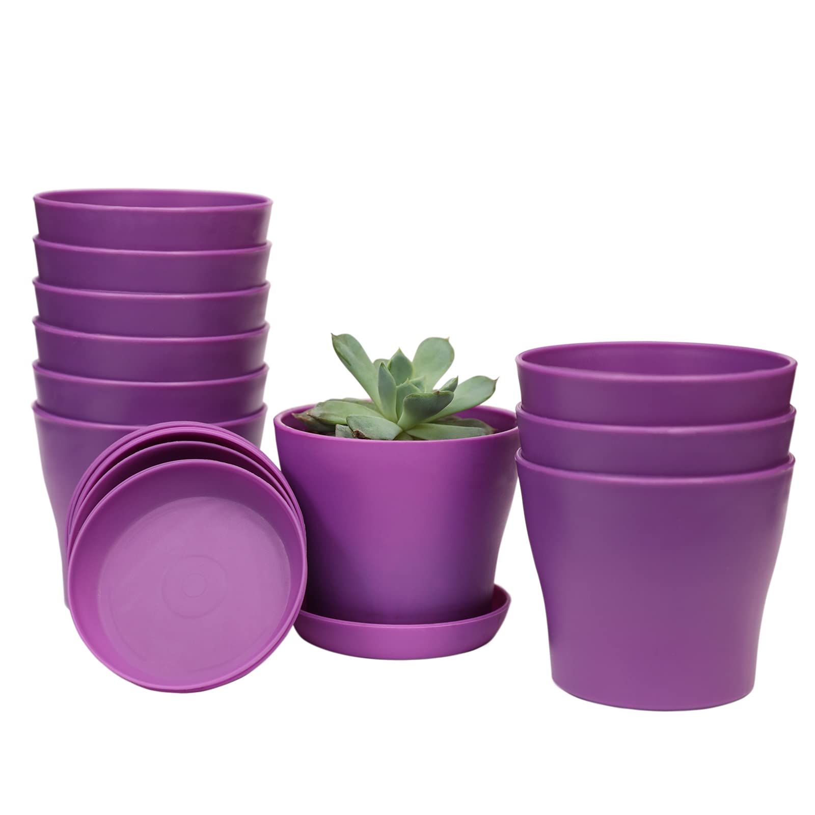 TDHDIKE purple plastic pot with pallet front view for stylish indoor seedling display
