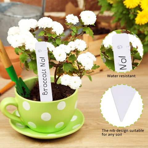 TDHDIKE seedling labels inserted into soil without harming plants during labeling.