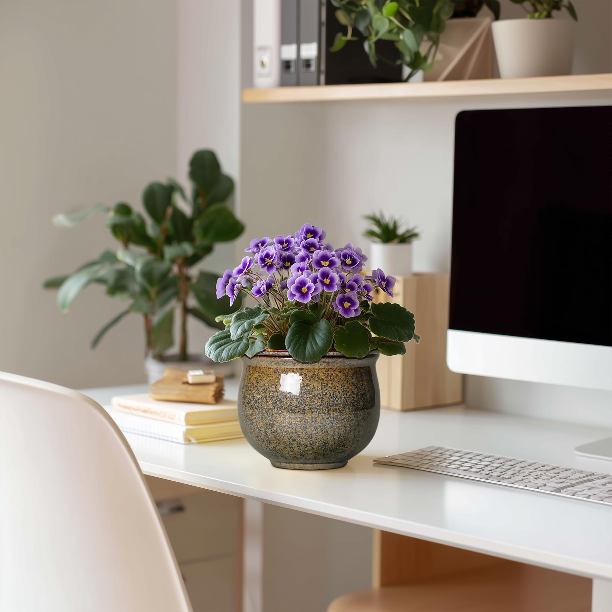 Teagas ceramic planter in warm yellowish brown decorates spaces.