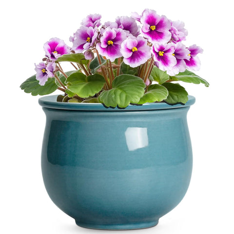Teagas African Violet Pots 6 Inch outer pot with glaze blue for stylish indoor decor.