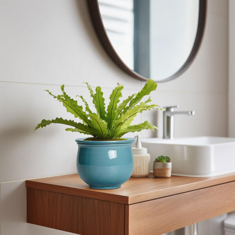 Teagas 6-inch pot on desk elevates home or office decor.
